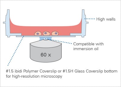 DISH// 生写真 DISH//生写真