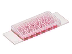 くらしを楽しむアイテム µ-Slide ibidi | Imaging Cell for Coverslip Chambered | Well 4 デュエルマスターズ