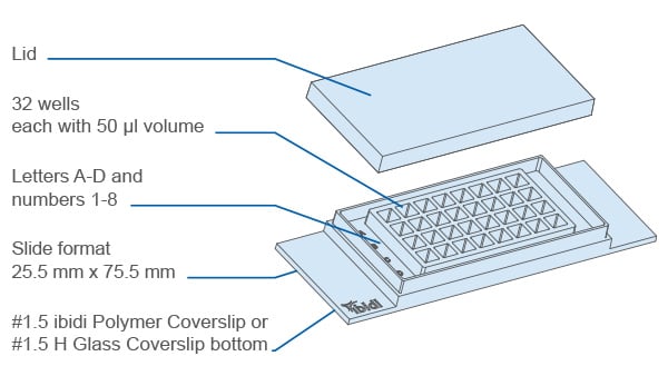 Key Features of the µ-Slide 32 Well
