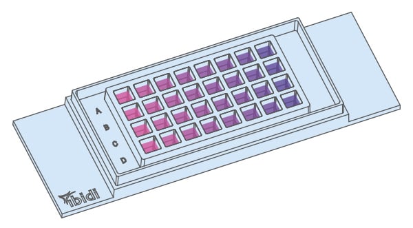 The µ-Slide 32 Well Reduces Reagent Consumption