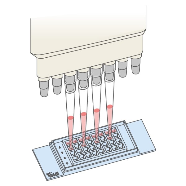 Use of Standard Pipettes with the µ-Slide 32 Well