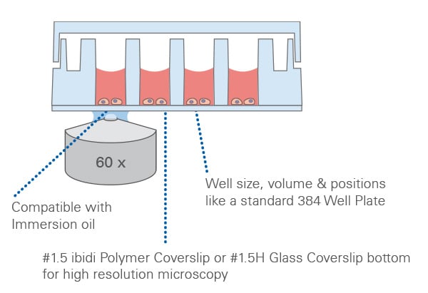 Principle of the µ-Slide 32 Well