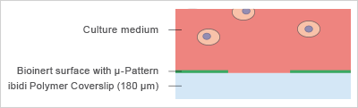 The Principle of the µ-Patterning Technology