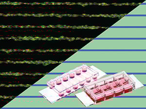 S_83XXX_Slide_Pattern_Line__2025__RGB_300.jpg
