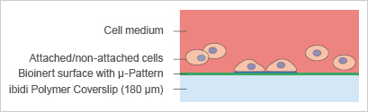 The Principle of the µ-Patterning Technology