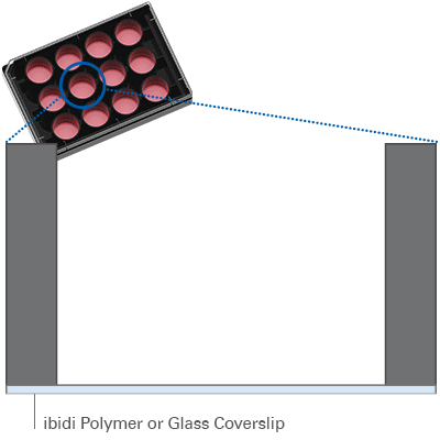 Filling the µ-Plate 12 Well