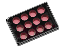 µ-Plate 96 Well Square | Black Walls & Flat Coverslip Bottom | ibidi