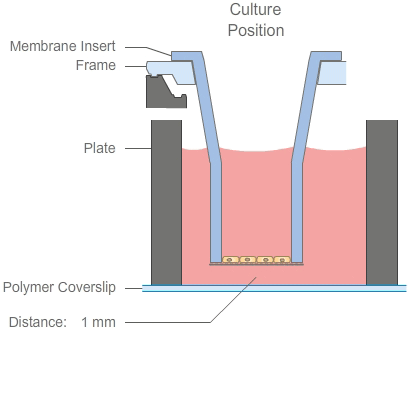 Principle of the two-position mechanism