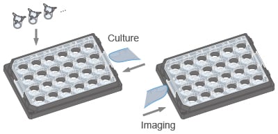 µ-Plate 24 Well for Membrane Inserts Sliding