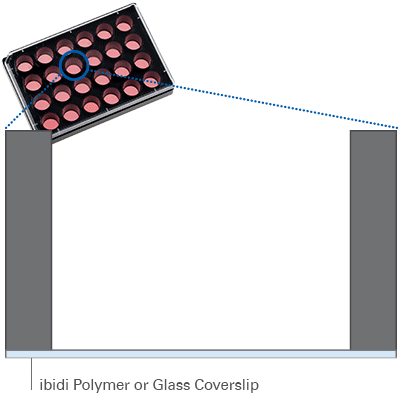 µ-Plate 24 Well | Black Walls & Flat Coverslip Bottom | ibidi