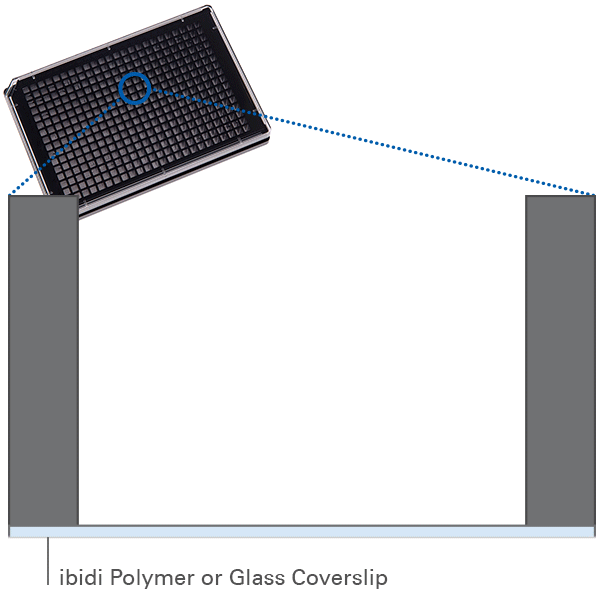 Filling the µ-Plate 384 Well 