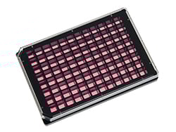 工場直売 P_8962X_Plate_96well_square_RG スポーツトイ・アクショントイ