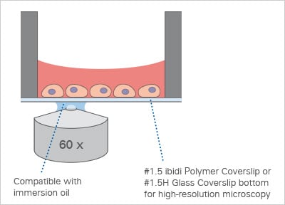 96 Well Plate Round | Microplate for Fluorescence Microscopy | ibidi