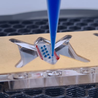 sticky-Slide Tissue Engineering mounted on a 3D bioprinter