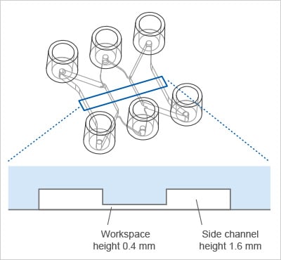 The Principle of the sticky-Slide Tissue Engineering