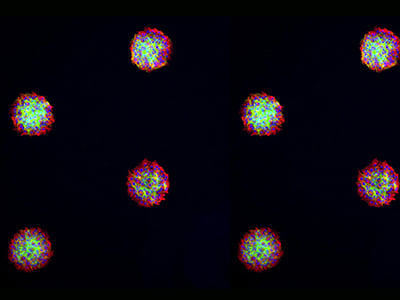 ibidi_micropatterning_prod_multi.jpg