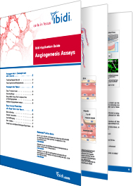 Angiogenesis Assays