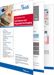 Cell Culture and Preparation for Imaging