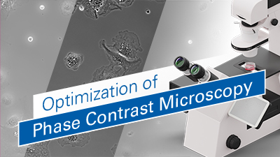 MV_061_Phase_Contrast_Optimization_Simply_Explained_400.jpg