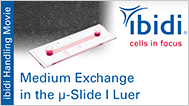 MV 49: Medium Exchange in the µ-Slide I Luer