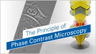 MV_060_Phase_Contrast_Simply_Explained_189.jpg