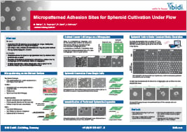 Micropatterned Adhesion Sites for Spheroid Cultivation Under Flow