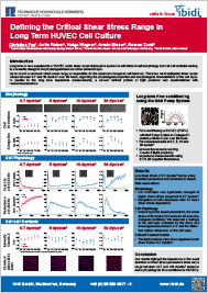 Defining the Critical Shear Stress Range in Long Term HUVEC Cell Culture (PDF)