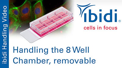 MV 43: Handling the 8 Well Chamber, removable
