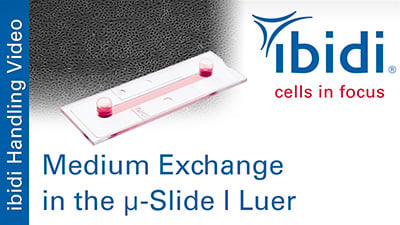 MV 49: Medium Exchange in the µ-Slide I Luer