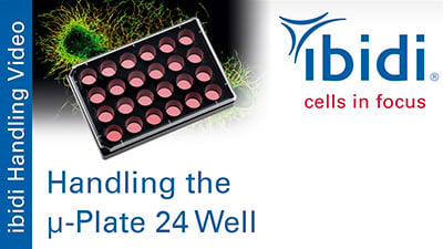 MV 53: Handling the µ-Plate 24 Well