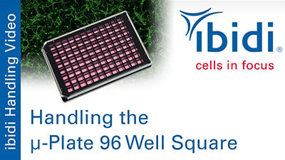 MV 54: Handling the µ-Plate 96 Well Square