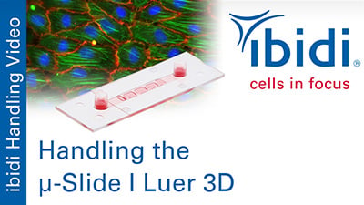 MV 57: Handling the µ-Slide I Luer 3D