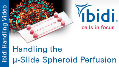 MV 58: Handling the µ-Slide Spheroid Perfusion
