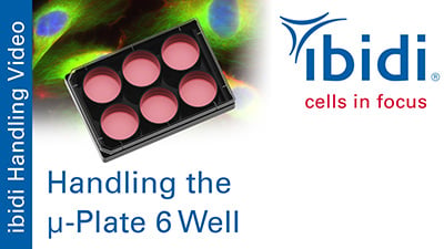 MV 59: Handling the µ-Plate 6 Well