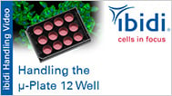 MV 64: Handling the µ-Plate 12 Well