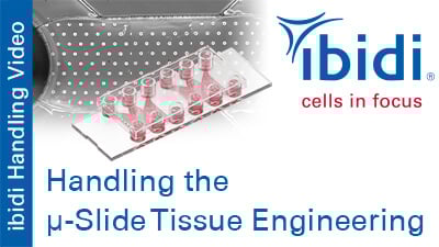 MV_069_Handling_Slide_Tissue_Engineering_400.jpg