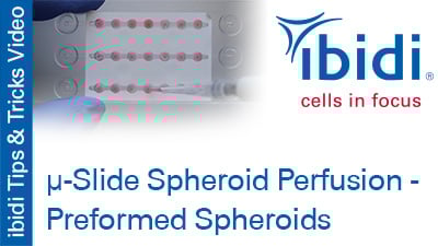 MV_073_Tips_Tricks_Slide_Spheroid_Perfusion_Preformed_Spheroids_400.jpg