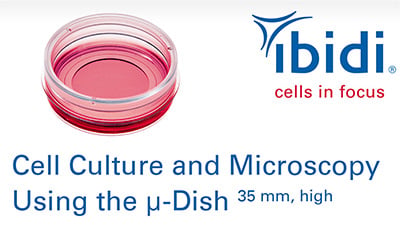 MV_28_Dish_25mm_high.jpg
